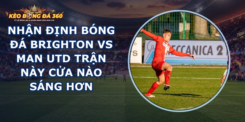 nhận định bóng đá Brighton vs Man Utd