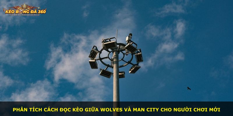 Phân tích cách đọc kèo giữa Wolves và Man City cho người chơi mới