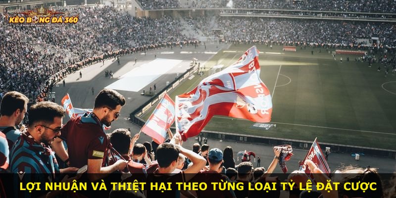 Lợi nhuận và thiệt hại theo từng loại tỷ lệ đặt cược